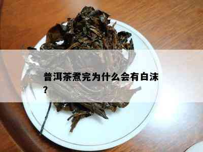 普洱茶煮完为什么会有白沫？