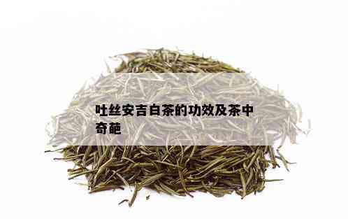 吐丝安吉白茶的功效及茶中奇葩