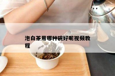 泡白茶用哪种碗好呢视频教程