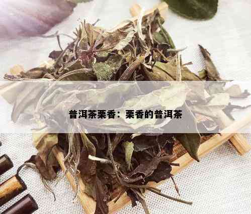 普洱茶栗香：栗香的普洱茶