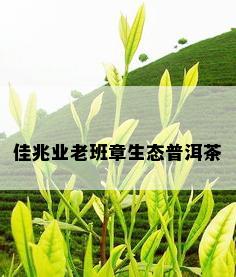 佳兆业老班章生态普洱茶