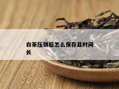 白茶压饼后怎么保存且时间长