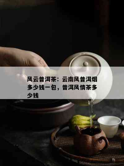 风云普洱茶：云南风普洱多少钱一包，普洱风情茶多少钱