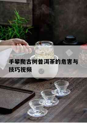 手攀爬古树普洱茶的危害与技巧视频