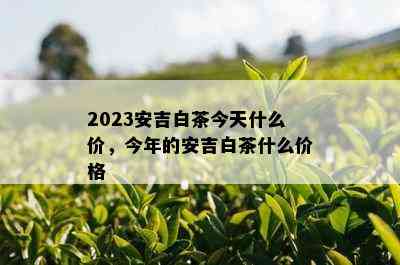 2023安吉白茶今天什么价，今年的安吉白茶什么价格