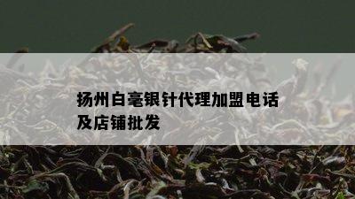 扬州白毫银针代理加盟电话及店铺批发