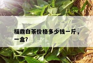 福鼎白茶价格多少钱一斤，一盒？