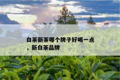 白茶新茶哪个牌子好喝一点，新白茶品牌