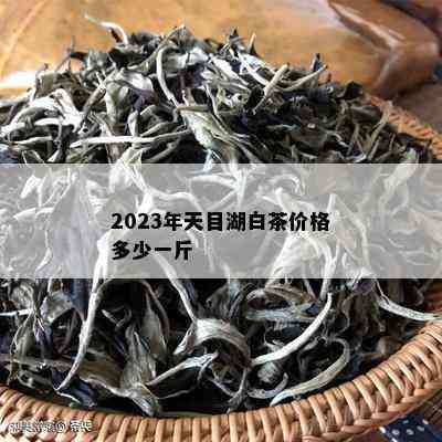 2023年天目湖白茶价格多少一斤