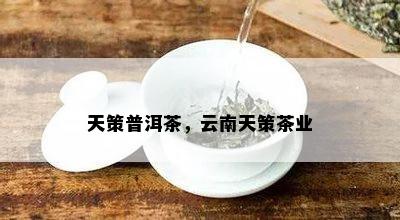 天策普洱茶，云南天策茶业