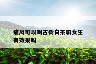 痛风可以喝古树白茶嘛女生有效果吗