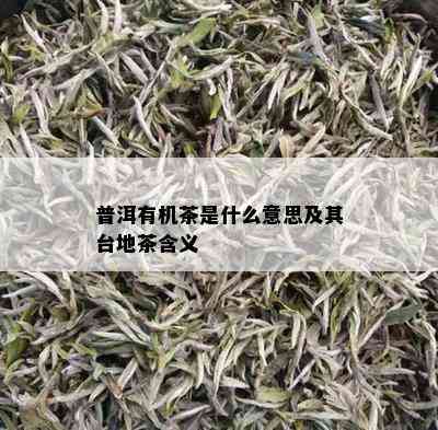 普洱有机茶是什么意思及其台地茶含义