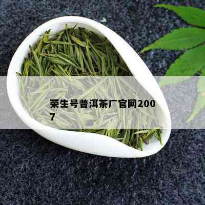 荣生号普洱茶厂官网2007