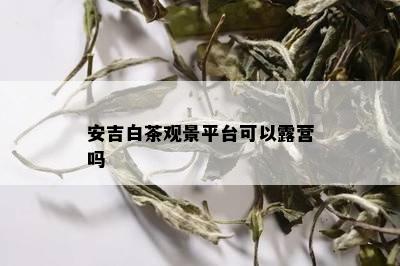 安吉白茶观景平台可以露营吗