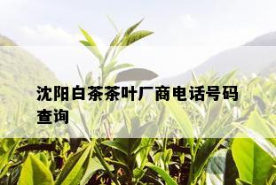 沈阳白茶茶叶厂商电话号码查询