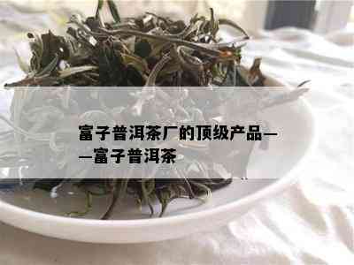 富子普洱茶厂的顶级产品——富子普洱茶