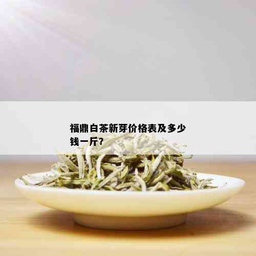 福鼎白茶新芽价格表及多少钱一斤？