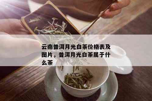 云南普洱月光白茶价格表及图片，普洱月光白茶属于什么茶