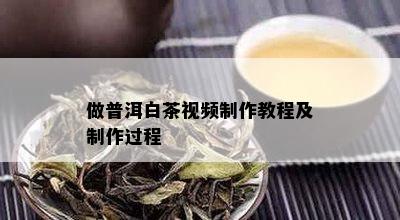 做普洱白茶视频制作教程及制作过程