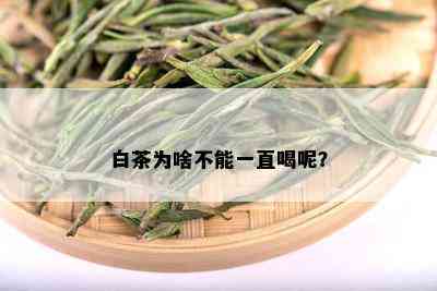 白茶为啥不能一直喝呢？