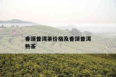 香颂普洱茶价格及香颂普洱熟茶