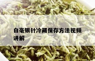 白毫银针冷藏保存方法视频讲解