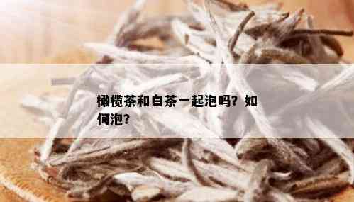 橄榄茶和白茶一起泡吗？如何泡？