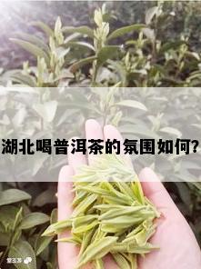 湖北喝普洱茶的氛围如何？