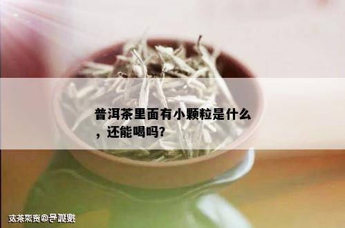 普洱茶里面有小颗粒是什么，还能喝吗？