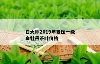 白大师2019年紧压一级白牡丹茶叶价格