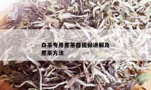 白茶专用煮茶器视频讲解及煮茶方法