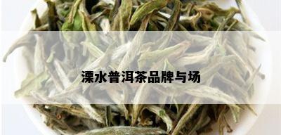 溧水普洱茶品牌与场