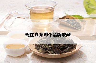 现在白茶哪个品牌收藏