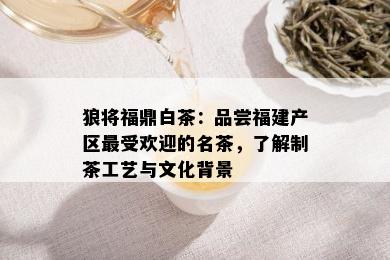 狼将福鼎白茶：品尝福建产区更受欢迎的名茶，了解制茶工艺与文化背景