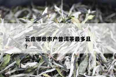 云南哪些市产普洱茶最多且？