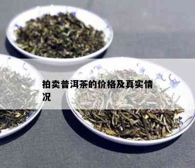 拍卖普洱茶的价格及真实情况