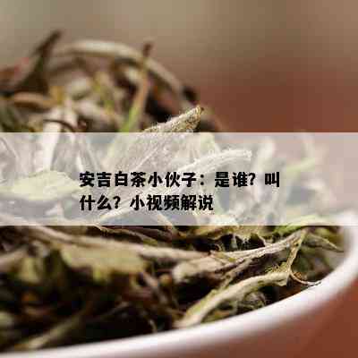 安吉白茶小伙子：是谁？叫什么？小视频解说