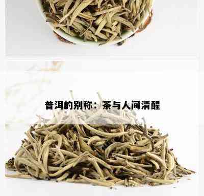 普洱的别称：茶与人间清醒