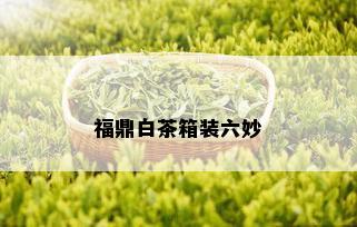 福鼎白茶箱装六妙