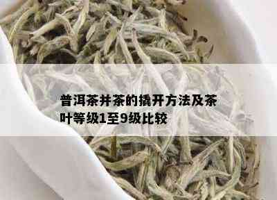 普洱茶并茶的撬开方法及茶叶等级1至9级比较