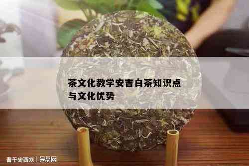 茶文化教学安吉白茶知识点与文化优势