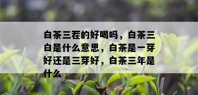 白茶三茬的好喝吗，白茶三白是什么意思，白茶是一芽好还是三芽好，白茶三年是什么