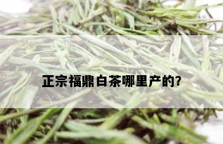 正宗福鼎白茶哪里产的？