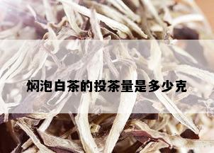 焖泡白茶的投茶量是多少克