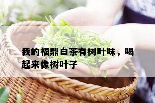 我的福鼎白茶有树叶味，喝起来像树叶子