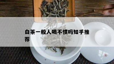 白茶一般人喝不惯吗知乎推荐