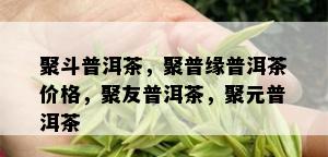 聚斗普洱茶，聚普缘普洱茶价格，聚友普洱茶，聚元普洱茶