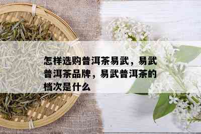 怎样选购普洱茶易武，易武普洱茶品牌，易武普洱茶的档次是什么