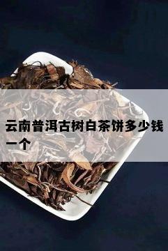 云南普洱古树白茶饼多少钱一个