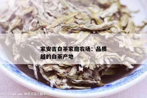 家安吉白茶家庭农场：品质越的白茶产地